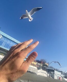 Алекс — фото 1